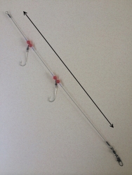 Hybrid Drop Shot Fishing Rig